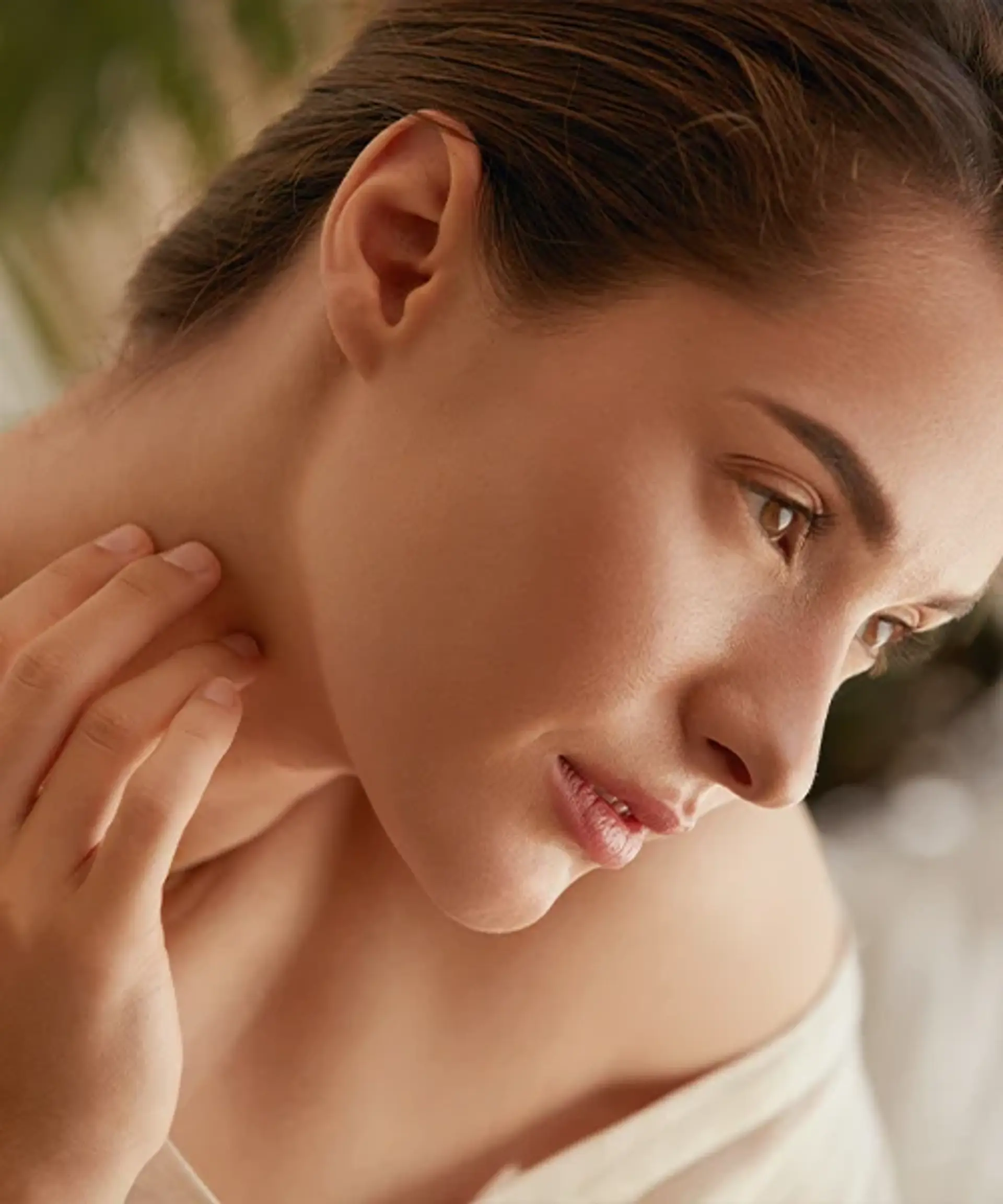 The Virginia Institute