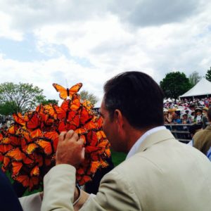 Virginia Gold Cup Races Hat Contest Winner